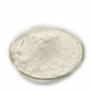 Rezin tiz ýaýrady ZDC